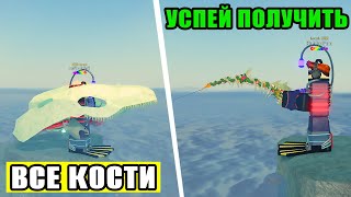КАК ПРОЙТИ ОБНОВЛЕНИЕ ДЖУНГЛИ И ПОЛУЧИТЬ ЛИМИТИРОВАННУЮ УДОЧКУ VINEFANG | ГДЕ ЛОВИТЬ КОСТИ В FISCH