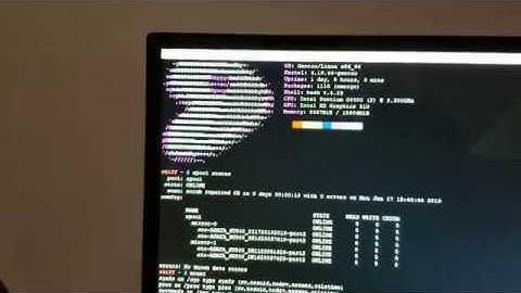 Gentoo Linux - Dual mirror vdev zfs root efistub boot success!