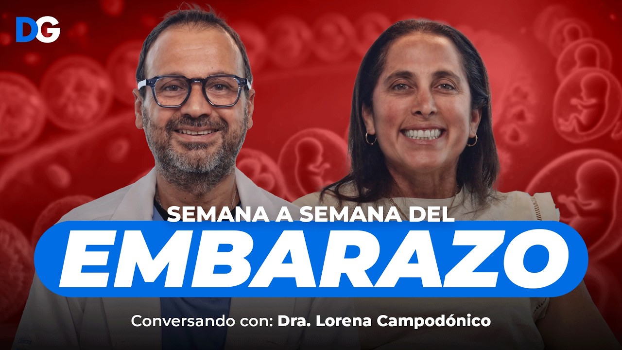 TODO lo que debes SABER sobre EL EMBARAZO