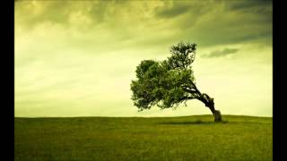 Dj Eco - American Blues (Dj Eco & Martin Roth Edit)