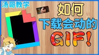 ［汤哥教学］如何下载会动的GIF！【内有下载网址】