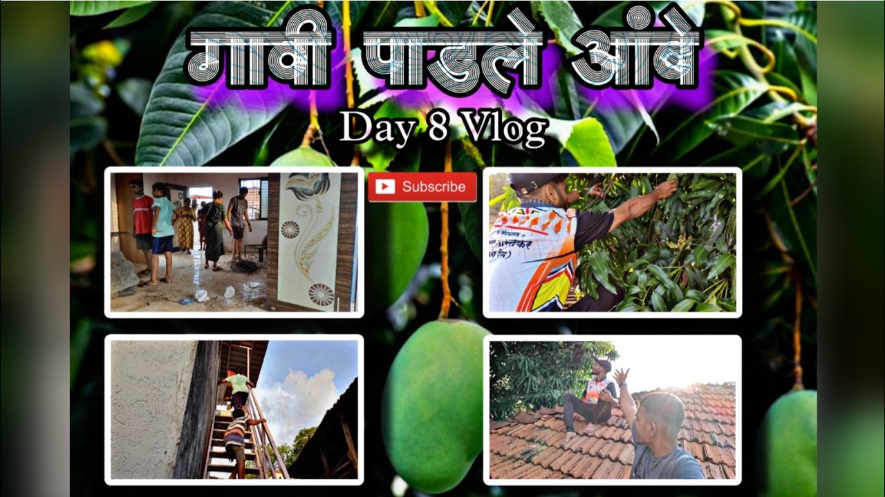 सुधीर सोबत आंबे उतरवले || विहाराची सफाई करून केली जयंतीची तयारी Day 8 Vlog 