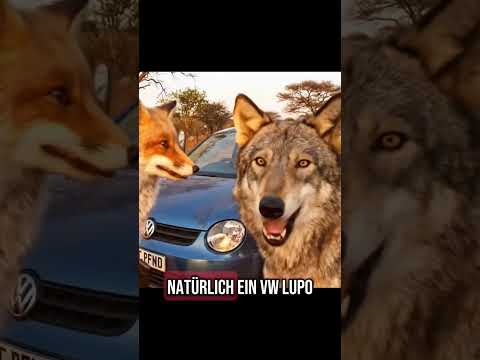 Wir präsentieren: unseren neuen Moderator, Tim! #glaube #kirchedigital