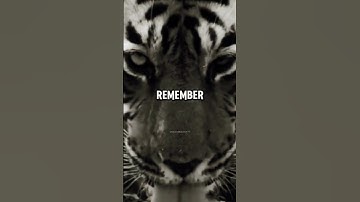 Embrace Failure as the Pathway to Success #motivation #successmindset #InspireOthers#shorts #Video