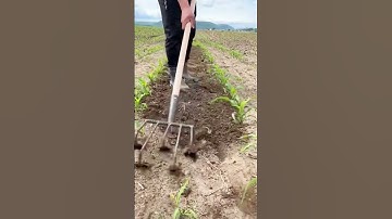 Simple farming tools for loosening the soil #farming #agriculture #shorts