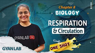 One Shot Lecture | Chp - 8 | Respiration & Circulation | Gyanlab | Anjali Patel #oneshotlecture
