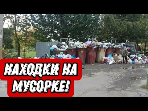 Что можно найти на мусорках Санкт-Петербурга? Находки на мусорке!