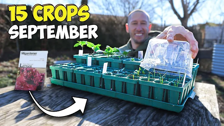 IT'S NOT TOO LATE! 15 Crops You Can STILL Plant in SEPTEMBER! thumbnail