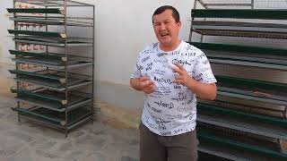 картинка: BEDANA QAFASGA ZAKAZ OLAMIZ БЕДАНАГА ХАМ +99897 289 44 94