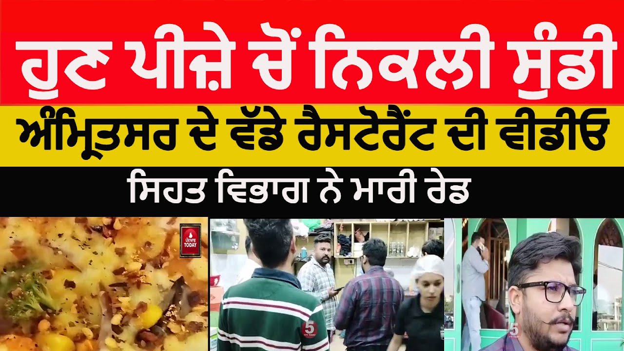 Amritsar insect in pizza | amritsar health team raid on ek chaiewala ...