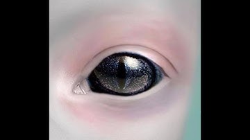 BASHAR  -  Is Earth a Prison Planet ? - Social Experiment Step 4 - Q&A