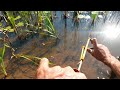 TUCUNARE COM ESTILINGUE /BALADEIRA SLINGSHOT  FISHING