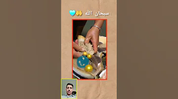 Fye اكسبلور Duet نباتي دويتو الطبيعة أنشر تؤجر Fye حديث الرسول سبحان الله Explore Short 