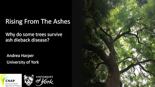 Rising from the Ashes: Why do some trees survive ash dieback disease? by Dr Andrea Harper