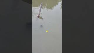 Kereen Yaa Peldanungna remix a dj 