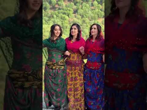 کچی جوان نه کانی کوردستان کوردواری هلپرکی کؤردی شایی سرچوپی بوکان