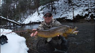 Spin Fishing for Big Brown Trout in January (2021) #trout #fishing #spinner