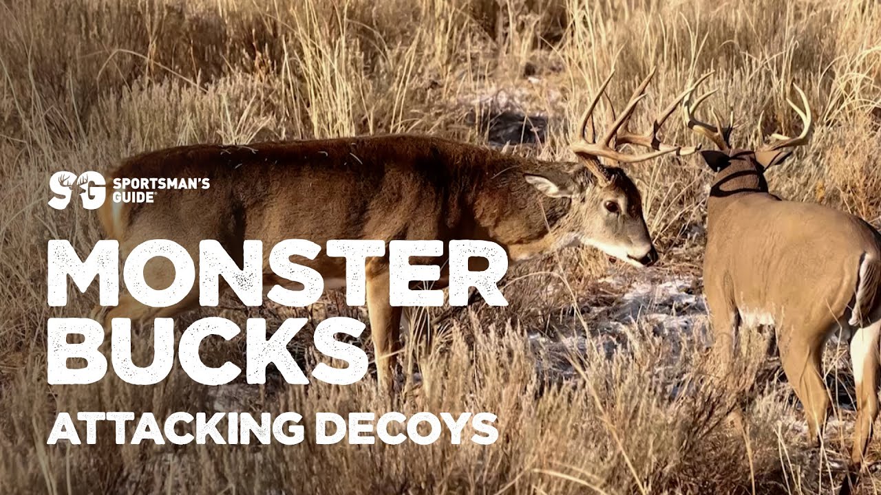 Monster Bucks Attacking Decoys Monster Bucks Moments presented by