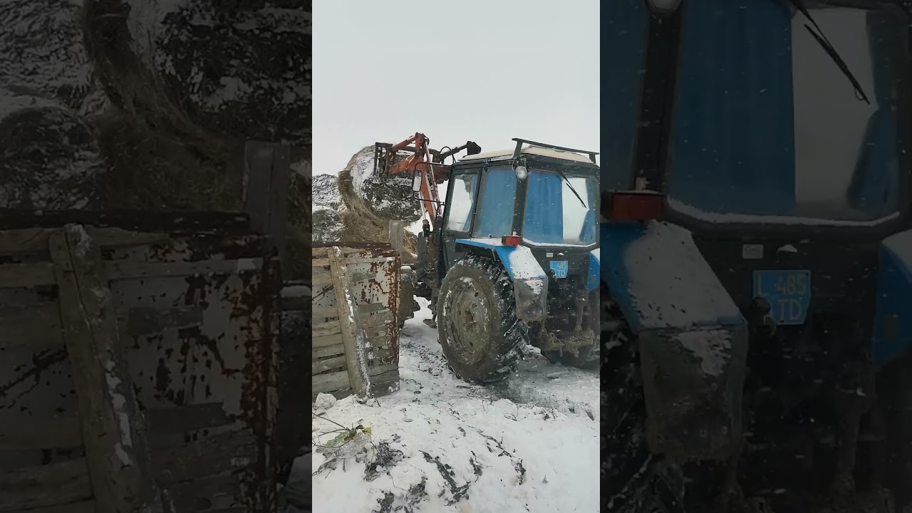 Синий трактор загружает рулоны 