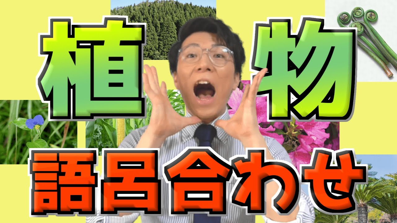 【中学理科】植物の具体例の語呂合わせ～シダ植物・種子植物～【中１理科】