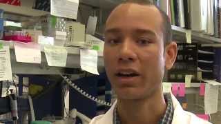 Molecular Biologist In The National Institute Of Allergy And Infectious Diseases