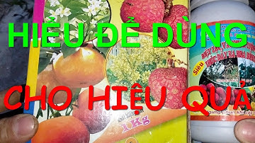 Kỹ thuật phun diệt, ức chế lộc, lộc mau thành thục, kích thích và phân hóa mầm hoa các giống Vải.