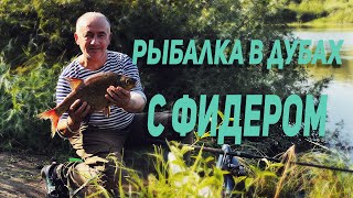 Рыбалка с фидером в Дубах ⎮VLOG 071