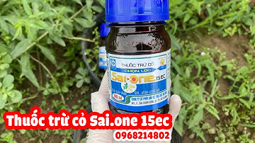 THUỐC TRỪ CỎ SAIONE 15EC  - Giải pháp trừ cỏ chọn lọc, Bảo vệ mùa màng hiệu quả