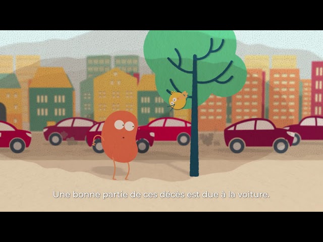 Lisa Car - Automobile : Light is Right !