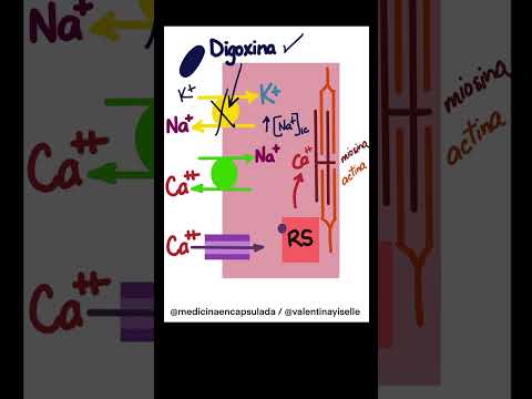 Cápsula farmacológica💊 Efecto
