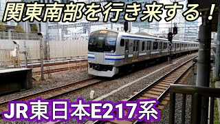 【JapaneseTrain】JR East E217 series departs and arrives