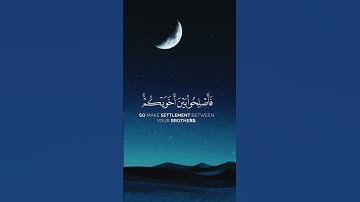 القارئ: محمد ايوب {سورة الحجرات ١٠}🤍. #قرآن