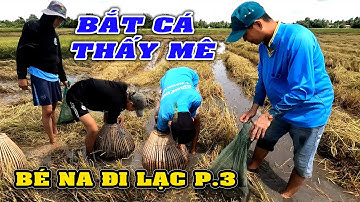 Săn Bắt Cá, Bắt Rắn, Bắt Chuột Theo Máy Cắt Dính Cá Liên Tục Mê Mắt P.3/Catch The Fish/NGÃ NĂM TV