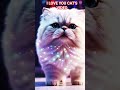 the fat cat is jealous #funny #funnyvideo #funnycat #cate #cat #story #cute