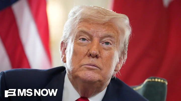 Trump floats tariff dividend checks for Americans by mid-2026