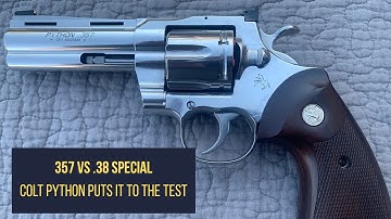 .357 Magnum vs .38 Special — 2020 Colt Python Penetration & Recoil Test