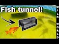 *DIY* Building FISH TUNNEL For Massive Catfish!
