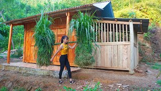 Pick Bamboo Shoots To Soak Sour Bamboo Shoots Grass Cutting For Buffalo Free Bushcraft Ep93