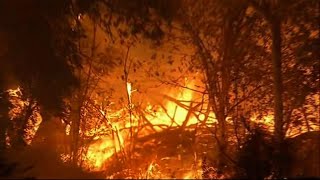 A new wildfire has broken out in california, this one san bernardino,
torching at least four homes and forcing evacuations. (oct. 31)
subscribe for more b...