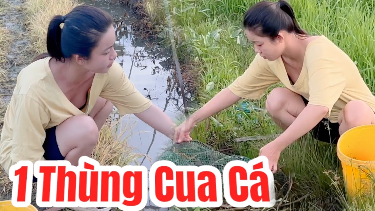 Tờ Mờ Sáng Cô Gái Quê Ra Đồng Thăm Mấy Cái LỌP LÒ XO