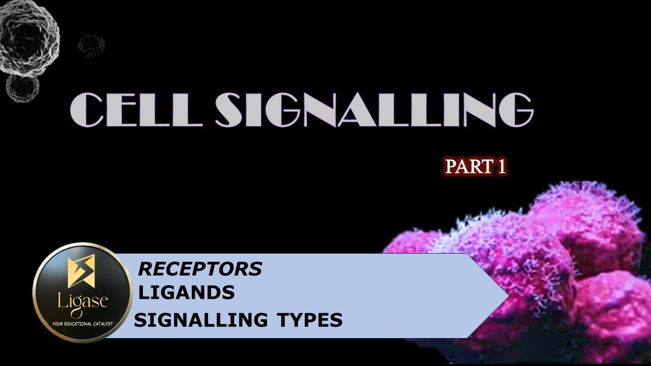 CELL SIGNALING PART 1 #csir #csirnet #cell #biology #lifescience