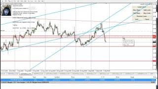 Forex For Beginners, Low Risk Trading, 3% Profit in Week 1