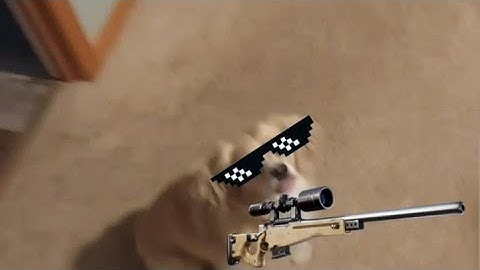 Doge hits 360 No-Scope from across the map
