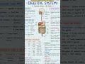 Don't Miss Before Exam 😱|Humen Digestive System Short Notes 🔥#science#shorts#shortsfeed#trending