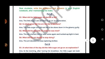 Grade 3 English Dated 04 06 2021