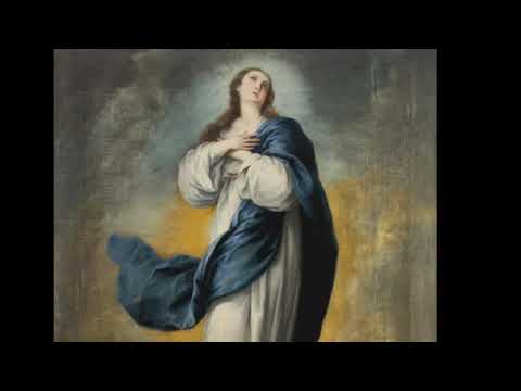 Serie Inmaculada