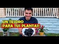 BENEFICIOS DEL CARBÓN en las plantas!!!🌿💚