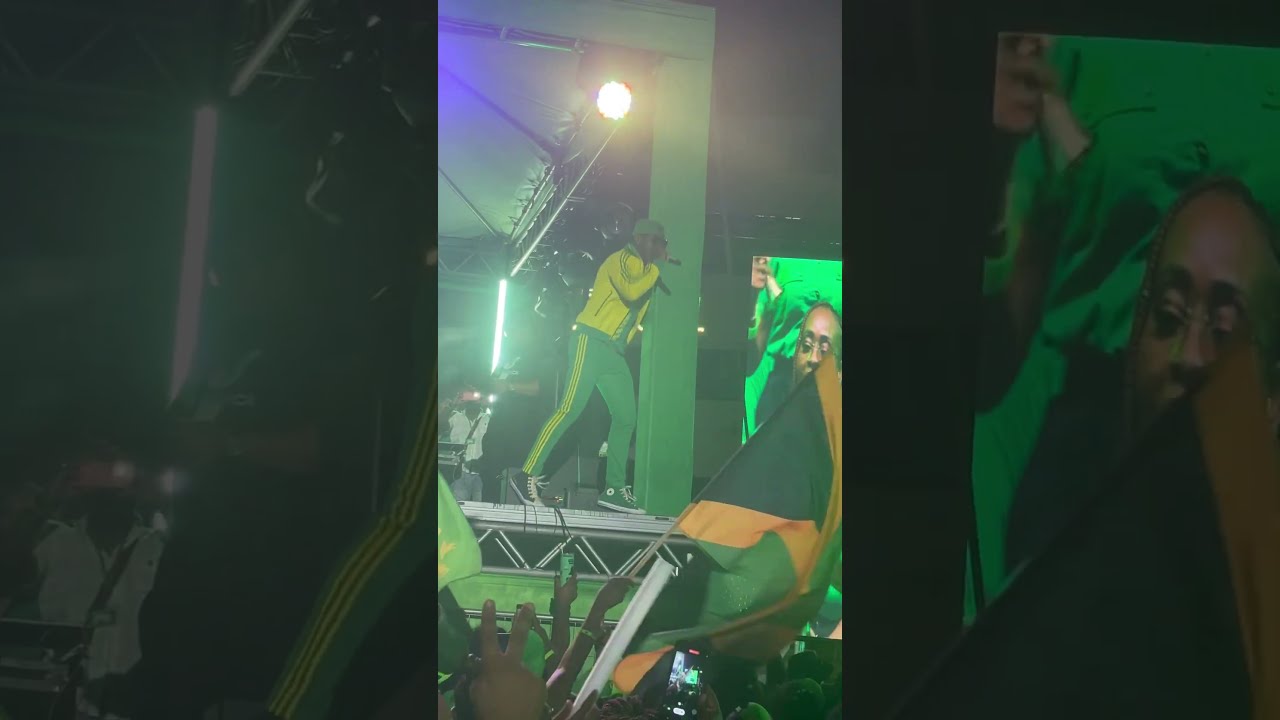 Mr Vegas At JLP Mass Rally