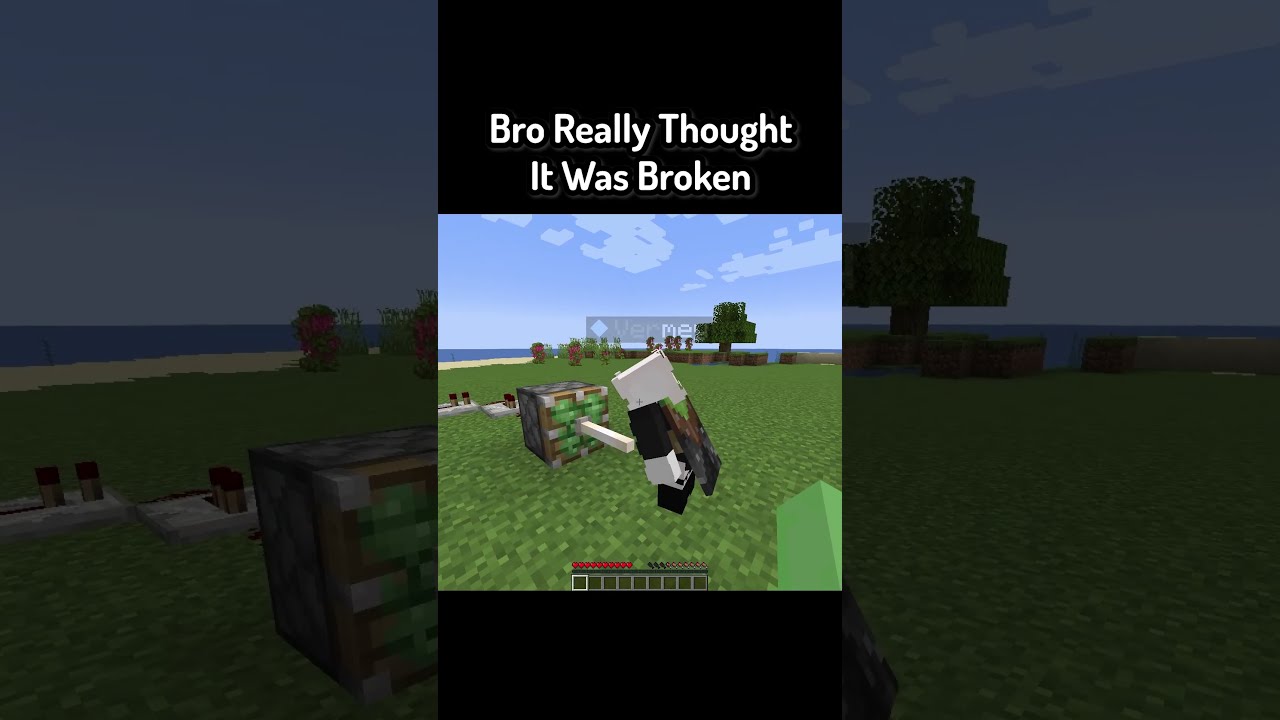 Bro Really Thought It Was Broken In Minecraft