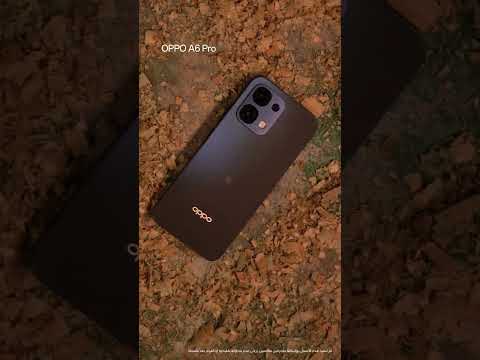  6  ملك المتانة